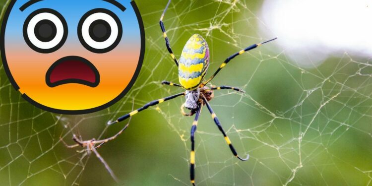 The dire prediction for NJ this summer that never came true