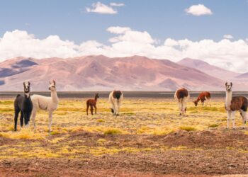 The perfect holiday in the driest place on Earth