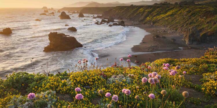 This California City Was Just Named No.1 for Luxury Experiences on a Budget