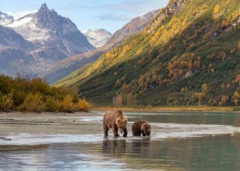 This Remote National Park in Alaska Has a Grizzly Bear Camp — Here's What It's Like to Spend the Night