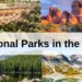 Top 10 Best National Parks in USA 2024