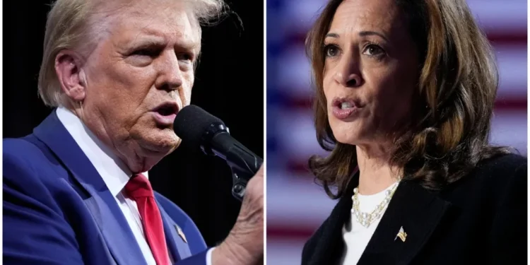 Trump slams CA mismanagement as preview of Harris presidency