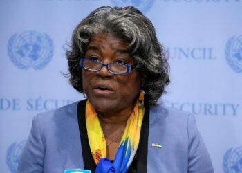 US backs 2 permanent seats for African nations on the UN Security Council