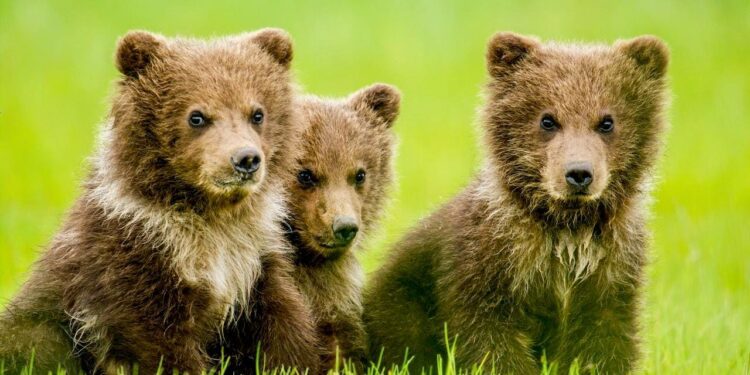 USA’ And Actor Michael Spears