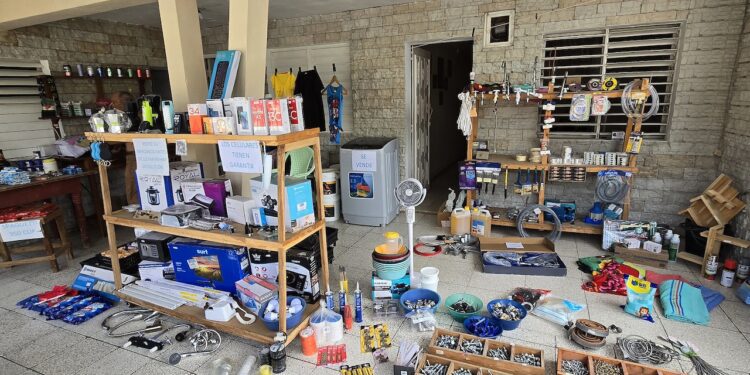 Unemployment, fallout from the crusade against Cuba's private sector