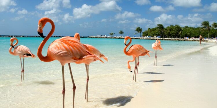 Vancouver cruises: Price drop for Pacific, Panama Canal trip