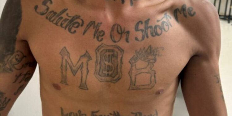 Venezuelan gang used border chaos to infiltrate U.S. | Government