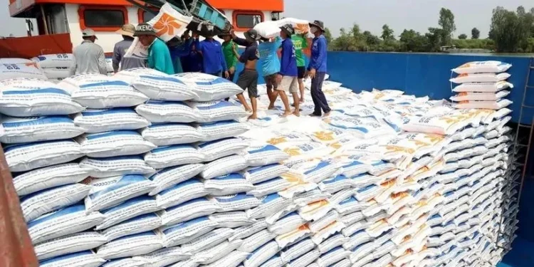 Rice has always accounted for the largest part in Vietnam's export revenues from Cuba. (Photo: VNA)