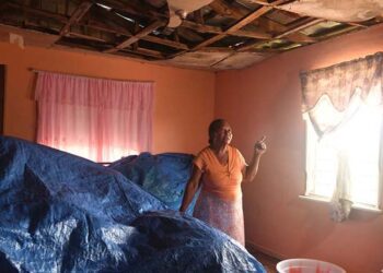 Voucher program helps Jamaica’s female landowners rebuild after Hurricane Beryl