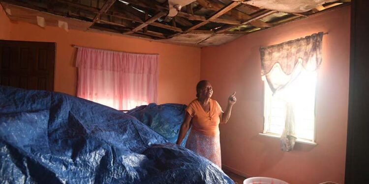 Voucher program helps Jamaica’s female landowners rebuild after Hurricane Beryl