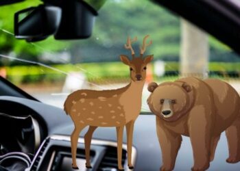 Watch out for these hazards on NJ roads