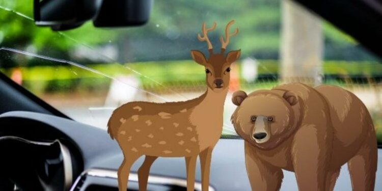 Watch out for these hazards on NJ roads