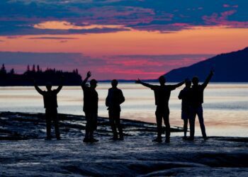 We're optimistic about everything except our politics