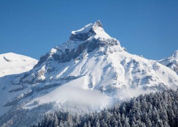 Far Horizon profile picture