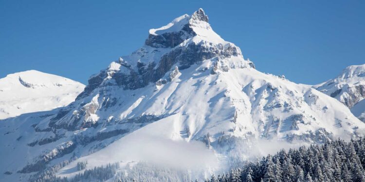 Far Horizon profile picture