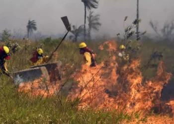 Bolivia: Why Has The South American Country Declared National Emergency?