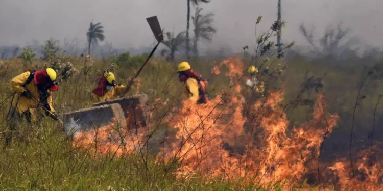 Bolivia: Why Has The South American Country Declared National Emergency?