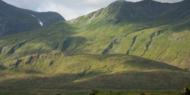 Why an Alaska island searches a rat that might not exist – NBC 5 Dallas-Fort Worth