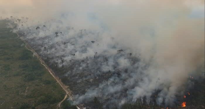 Wildfires sweep Amazon as Brazil suffers worst drought on record