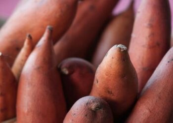 epic transoceanic journey to South America — MercoPress