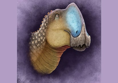 An artist's reconstruction of 'Coahuilasaurus lipani.' 