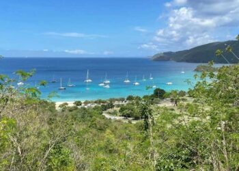 View of foliage and water at Brewers Bay Beach