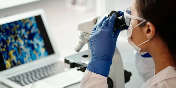 Dominican pharmaceutical companies accelerate growth through international quality standards