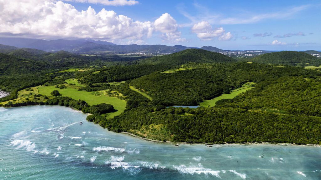 Auberge has plans for its first Puerto Rico resort: Travel Weekly