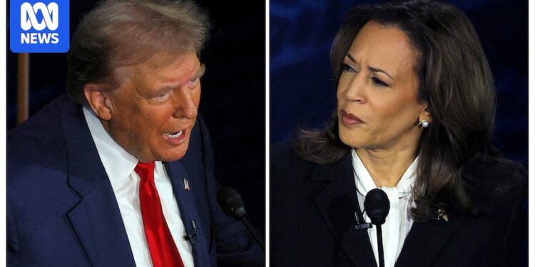 Democrats Abroad spending up to entice American citizens overseas to back Kamala Harris as next US president