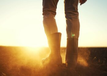 Victories and challenges for Black farmers and their mental health