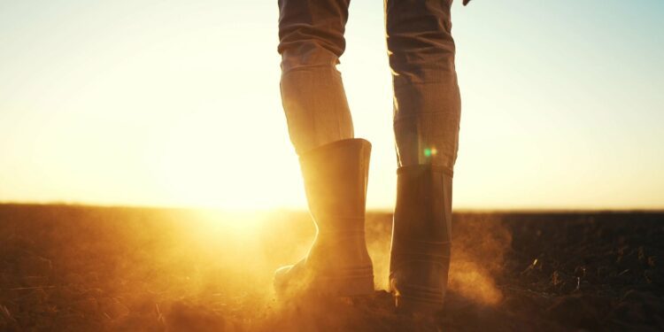 Victories and challenges for Black farmers and their mental health