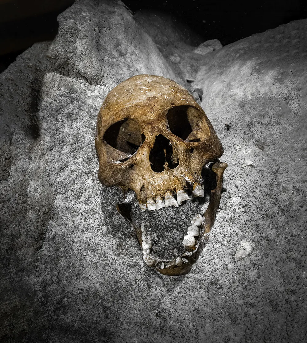 Divers in Mexico's Underwater Caves Get a Glimpse of Rarely Seen Artifacts, Fossils and Human Remains