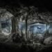 Divers in Mexico's Underwater Caves Get a Glimpse of Rarely Seen Artifacts, Fossils and Human Remains