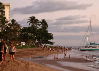 Coolcations, solo travel and other hot tourism trends