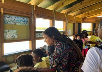 U.S. Virgin Islands native returns to St. Croix to support environmental changemakers » Yale Climate Connections