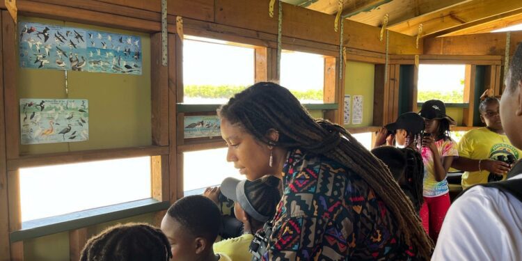 U.S. Virgin Islands native returns to St. Croix to support environmental changemakers » Yale Climate Connections