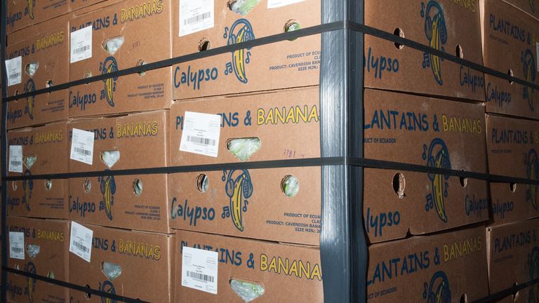 The banana and cocaine shipment seized during Operation Pepperoni in the case against Jamie Stevenson. Pic: Crown Office