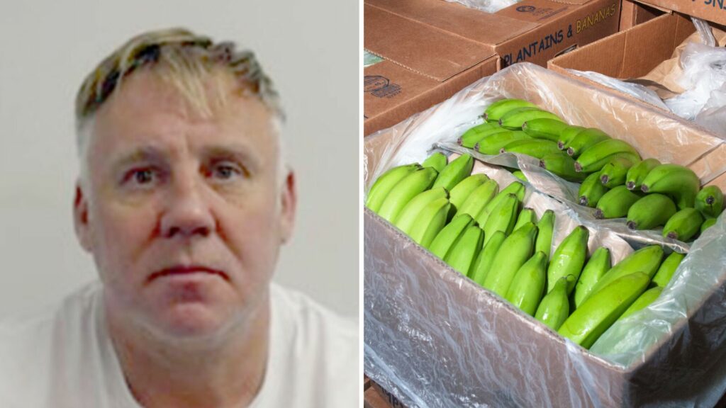 One of UK's most wanted men jailed over plot to smuggle cocaine 'worth £100m' in banana boxes | UK News