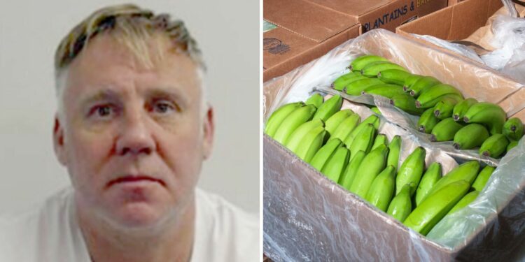 One of UK's most wanted men jailed over plot to smuggle cocaine 'worth £100m' in banana boxes | UK News
