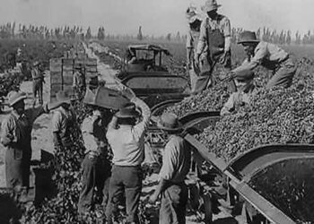 Wine in America | American Experience | Official Site