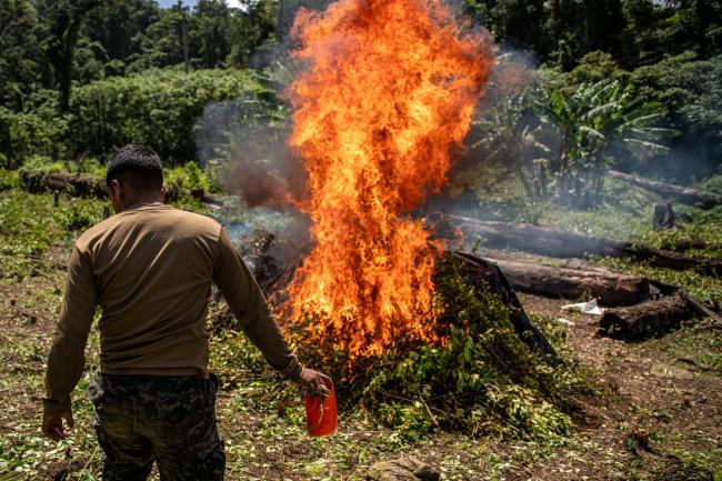 A soldier sets a pile of coca plants on fire as part of forced eradication efforts in Colón. (Fritz Pinnow)