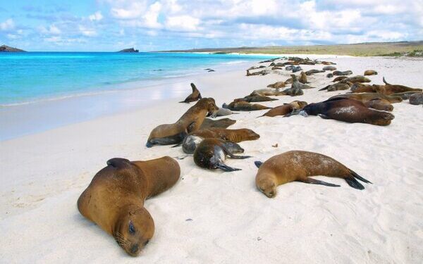 TTG - Cruise - Overcapacity, influencers and the rise of Greenland, plus six other expedition cruise talking points