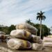 Panama Seizes 4.4 Tons Of Suspected Drugs Bound For Spain