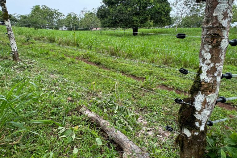 Cercas eléctricas perimetrales instaladas para disuadir a los felinos de entrar en los pastizales. Foto: Cortesía Panthera Costa Rica.