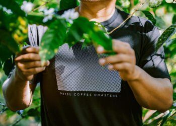 Arizona's Press Coffee Buys 70-Hectare Farm in PanamaDaily Coffee News by Roast Magazine