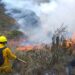 Incendios forestales devastan millones de hectáreas en América Latina