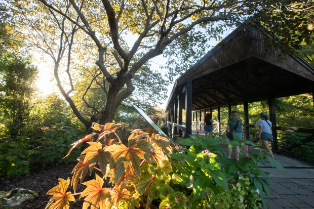 Colorful trees and foliage change color at the Ted Ensley Gardens at Lake Shawnee on Sept. 30, 2024. (Courtesy of Evert Nelson)