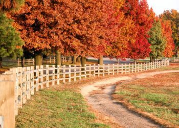 When Colorado leaf-peeping season ends, go to Kansas for fall colors