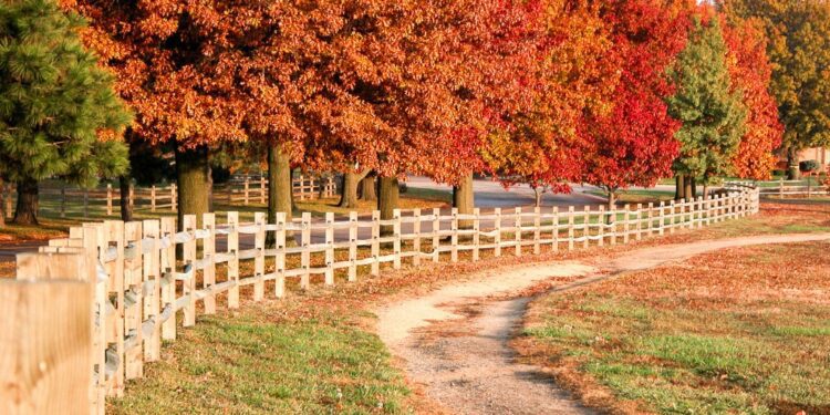 When Colorado leaf-peeping season ends, go to Kansas for fall colors