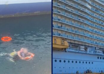 Firefighter on Vacation Dives in to Rescue Overboard Cruise Passenger